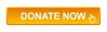 Donate now button