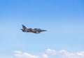 L-39 albatros fighter jet flying on blue sky