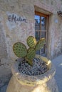 L Atelier store front with cactus plant Royalty Free Stock Photo