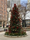 Chicago Christmas Tree Royalty Free Stock Photo