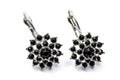 Elegant black gemstone earrings on a white background, perfect for fashion. Royalty Free Stock Photo