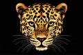 leopard spots in a symmetrical pattern Royalty Free Stock Photo