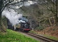 Steam Train under bridge Haverthwaite Royalty Free Stock Photo