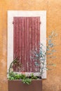 Red peeling paint on wooden window shutters