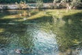 L`Isle-sur-la-Sorgue, Avignon, Vaucluse, Provence-Alpes-Cote d`Azur, France, September 24, 2018: Sunny autumn on the streets and