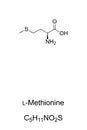 L-Methionine, chemical formula and structure, essential amino acid