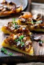 L mushrooms tart Royalty Free Stock Photo