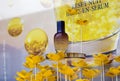 L Occitane en Provence perfume window display Royalty Free Stock Photo