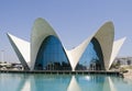 L`Oceanografic building with reflections in water surroundings Royalty Free Stock Photo