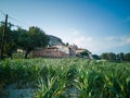 El Om farmers house with maize fields Royalty Free Stock Photo