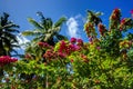 L'Union Estate, La Digue, Seychelles islands Royalty Free Stock Photo