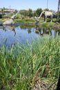 La Brea Tar Pits Royalty Free Stock Photo