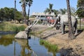 La Brea Tar Pits Museum Downtown Los Angeles near Hollywood