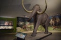 La Brea Tar Pits Museum Downtown Los Angeles near Hollywood