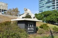 La Brea Tar Pits Museum Downtown Los Angeles near Hollywood