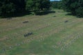 Overview of La Cambe German war cemetery, Normandy, France