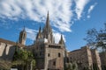 La Catedral del Mar in Barcelona Royalty Free Stock Photo