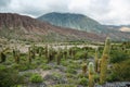 La Cienaga area on Tumbaya, Argentina.