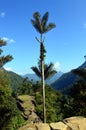 La Ciudad Perdida the Lost City, Colombia