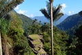 La Ciudad Perdida the Lost City, Colombia