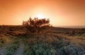 La Clape mountains sunrise Royalty Free Stock Photo