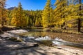 La Claree River in Autumn. Claree Upper Valley, Hautes-Alpes, Alps, France