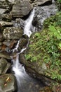 Detail of waterfall in rain forest Royalty Free Stock Photo