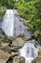 La Coca Falls and Forest of El Yunque Royalty Free Stock Photo