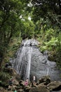 La Coca waterfall, El Yunque National Forest Royalty Free Stock Photo