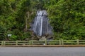 La Coca Waterfall in El Yunque Rainforest Royalty Free Stock Photo