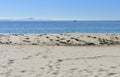 Beach with fishing boat, blue sea and mist. Sunny day, Galicia, Spain. Royalty Free Stock Photo