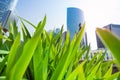 La Defense skyscrapers viewed through green grass Royalty Free Stock Photo