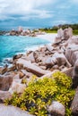 La Digue island coast, Seychelles. Hidden secluded remote beautiful beach in jungle