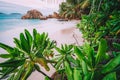 La Digue Island, Seychelles. Beautiful tropical sandy beach with exotic plants in evening sunset light. Granite rocks Royalty Free Stock Photo