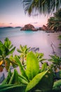 La Digue Island, Seychelles. Beautiful tropical sandy beach with exotic plants in evening sunset lilac light. Vacation Royalty Free Stock Photo