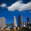 LA Downtown Los Angeles Pershing Square palm tress Royalty Free Stock Photo