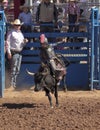 A La Fiesta De Los Vaqueros Junior Rodeo