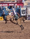 A La Fiesta De Los Vaqueros, Tucson, Arizona Royalty Free Stock Photo