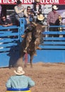 A La Fiesta De Los Vaqueros, Tucson, Arizona