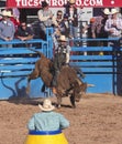 A La Fiesta De Los Vaqueros, Tucson, Arizona