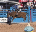 A La Fiesta De Los Vaqueros, Tucson, Arizona