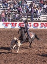 A La Fiesta De Los Vaqueros, Tucson, Arizona