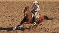 A La Fiesta De Los Vaqueros, Tucson, Arizona Royalty Free Stock Photo