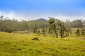 La Fortuna Landscape Royalty Free Stock Photo