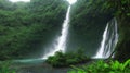 La Fortuna waterfall surrounded by lush green jungle plants