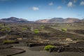 La Geria, Lanzarote Royalty Free Stock Photo