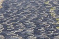 La Geria vineyard area in Lanzarote Royalty Free Stock Photo