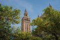 La Giralda (Seville Cathedral Tower) at Patio de los Naranjos - Seville, Andalusia, Spain