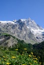 Cheese and wine, glass of dry rose wine and fresh goat cheeses with pepper toppings, view on Hautes Alpes mountains with snow on