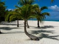 Isla Pasion Mexico Royalty Free Stock Photo